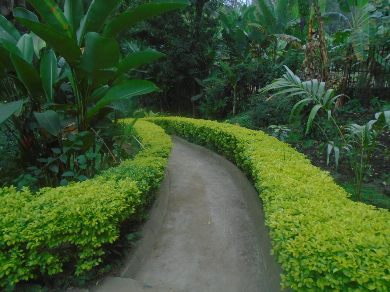 Themi Valley Eco And Cultural Tourism Homestay Arusha Exterior foto